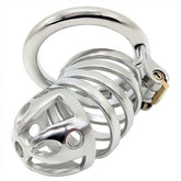 Captivated Stainless Steel Locking Chastity Cage